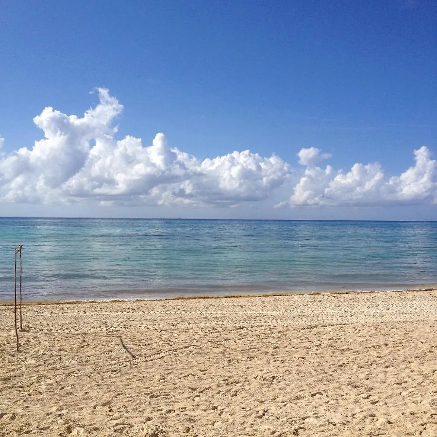 101 Corto Maltes ,3 Bedroom Condo Ocean View Playa del Carmen 0*,  Mexico